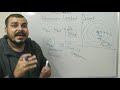 tutorial 12 stochastic gradient descent vs gradient descent