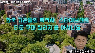 한국 기관들의 흑역사, '스타이브센트 타운 쿠퍼 빌리지'를 아시나요