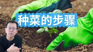 新手学习种菜难，原来是这个原因！种菜的步骤，一起来实践种韭菜！