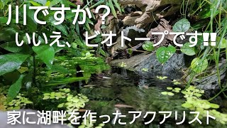 自宅に湖畔を作った漢の凄すぎる超巨大ビオトープ‼　aquarium　アクアリウム　熱帯魚　グッピー　メダカ