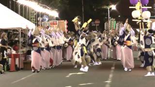 南越谷阿波踊り2010／東京海上・菊の会