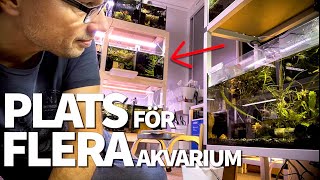 Såhär får du plats med fler AKVARIUM!