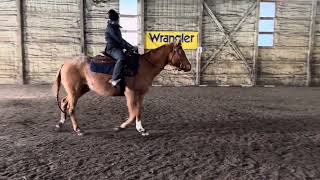 RB Exclusive Dream- Hannah Yuke- ONLY Horsemanship