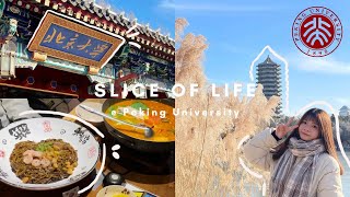 vlog#9 北京大学期末前的快乐碎片｜逛校园、未名湖、吃喝玩乐 ｜PKU VLOG🥰