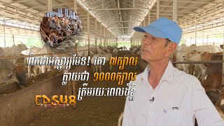 កសិកម្ម និងអភិវឌ្ឍន៍ជនបទ|​ ពីគោ ៧ក្បាល ក្លាយជា ១០០០ក្បាល ត្រឹមរយៈពេលដ៏ខ្លី! [EPS48] 110323