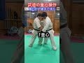 【武道】重心操作をできれば強くなれる！！　 aikido ＃karate martial 合気道 武道 空手