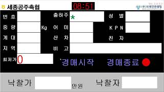 세종공주축협님의 실시간 스트림