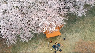 【キャンプ飯】絶景の桜の下で、お手軽モーニング〈apod playfull tube #02〉