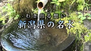 わき出る想い ～新潟県の名水～