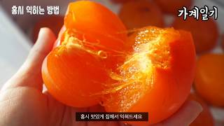 홍시 만들기 :: 사과로 홍시 맛있고 빠르게 익히기