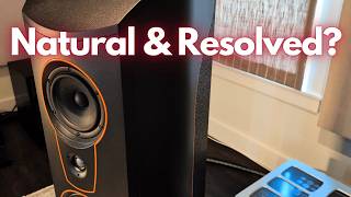 Audio Solutions Vantage M Loudspeaker Review