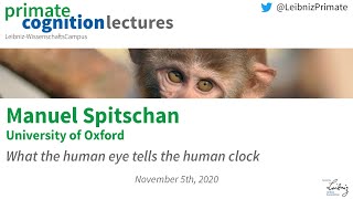 What the human eye tells the human clock