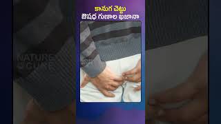 కానుగ చెట్టు \