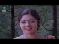 sippi irukkuthu video song varumayin niram sivappu kamal haasan sridevi spb s janaki msv