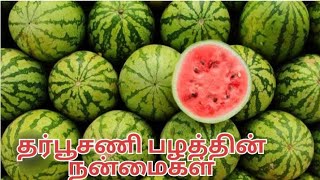 தர்பூசணி பழம் சாப்பிடுவதால் ஏற்படும் நன்மைகள் || Benifits of watermelon fruit 🍑🍓