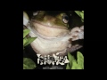 phyllomedusa inept breviceps amplex full album