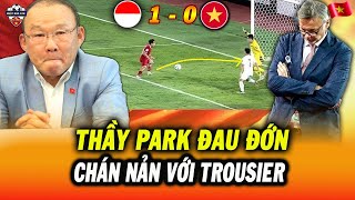 Thầy Park Đau Đớn Nhận Xét Về Trận Thua 0-1 Của ĐTVN Trước Indonesia, Chán Nản Với HLV Troussier