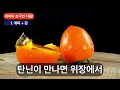 건강정보 나만 빼고 다 본 동영상 계피는 제발