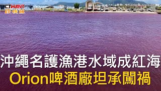 CTWANT 國際新聞 / 沖繩名護漁港水域成紅海　Orion啤酒廠坦承闖禍