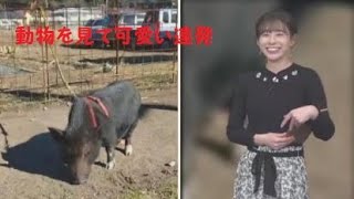 【高山奈々】日向ぼっこの動物を見て可愛い連発【ななちゃん】