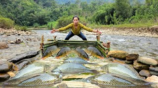 Best Fishing Video, How to make fish traps using ancient methods. Catch many big fish and sell them