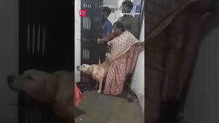 Viral Video: Woman kicks diyas, abuses neighbours during Diwali