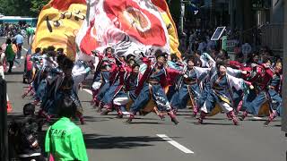 遨～すさび～　2019YOSAKOIソーラン祭り6/9(日)　大通パレード会場 (南コース)