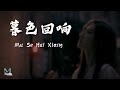 Angela Zhang (张韶涵) - Mu Se Hui Xiang (暮色回响) Lyrics 歌词 Pinyin/English Translation (動態歌詞)