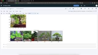 Reverse Image Search Using Watson Studio (GPU Beta)