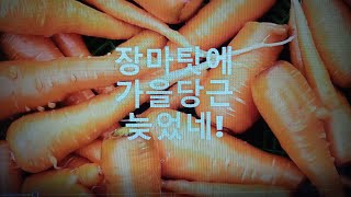 {텃밭농부 #059}장마탓에 가을당근 늦었네!.당근재배.당근파종