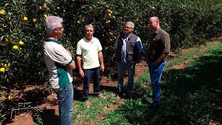 Agricultor diversifica produção e mantém bons resultados em Floraí