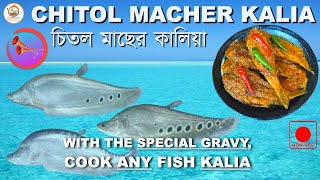 চিতল মাছের কালিয়া | CHITOL MACHER KALIA—Bengali Fish Curry | বিয়েবাড়ির স্টাইলে চিতল মাছের কালিয়া