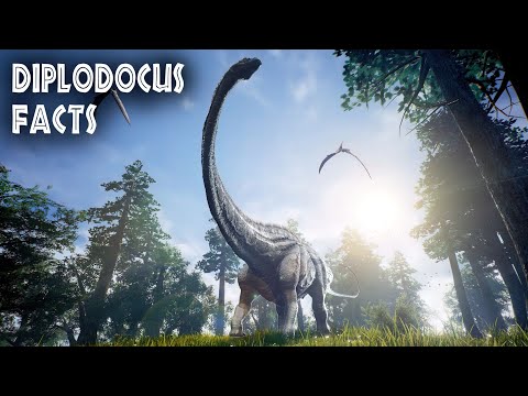 Does Diplodocus need a capital letter?