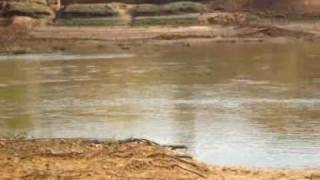 A Walk Along Gopad River, Sidhi-Singrauli Districts, India.wmv