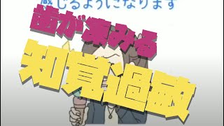 【知覚過敏】歯がしみるのはなぜ？