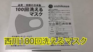 西川 100回洗えるマスク