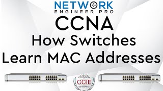 How switches learn MAC addresses - CCNA 200-301