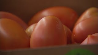 Trade War's Effect On Tomatoes