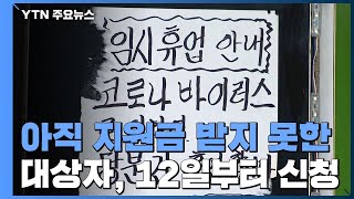 재난지원금 받지 못한 2차 대상자, 12일부터 신청 / YTN