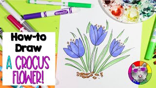 How-To Draw a Crocus, Easy Crocus Spring Drawing Tutorial for Kids!