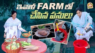 Farm Day /మొక్కలకి ఫర్టిలైజర్, పక్షులకు బర్డ్ బాత్,  చిన్న హార్వెస్ట చేసాము  @MADGARDENER