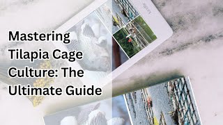 Mastering Tilapia Cage Culture: The Ultimate Guide