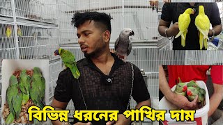 শেষ সিজনে চন্দনা পাখির বাচ্চা_পোষা আফ্রিকান গ্রে,লড়ি_Tia pakhir baccha_Shahin Bird House