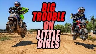 Big Trouble On Little Bikes: Honda Monkey vs Yamaha Zuma