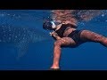 Why diving in Tofo, Mozambique is the best in the world