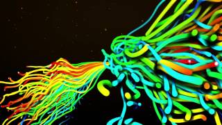 TRAPCODE PARTICULAR/ MIR TEST