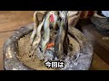 山陰うまいもの探して三千里！ 島根県奥出雲町 鈩の舎（カフェタタラノイエ）「あゆと奥出雲やさい天麩羅 割子そば」