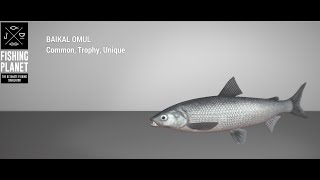 Fishing Planet - Selenge River - Unique - Baikal Omul - Bait