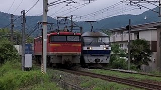 すれ違い EF67-105 山陽本線 八本松～寺家 貨物列車 2021.05