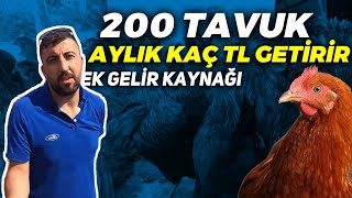 200 TAVUK AYLIK KAÇ PARA KAZANDIRIR ? | YUMURTA TAVUKÇULUĞU